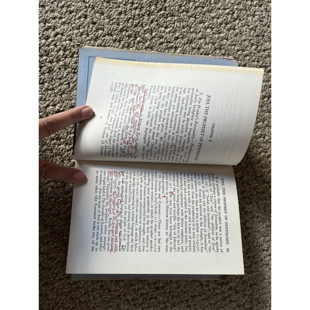 The Twelve Minor‎ Prophets by George L. Robinson